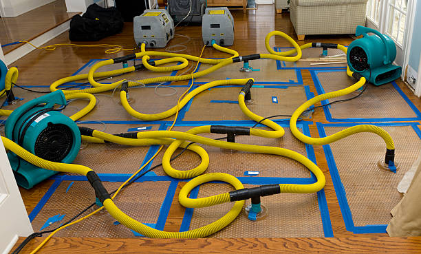 Professional Crawl Space Water Removal technician working in Heflin, AL